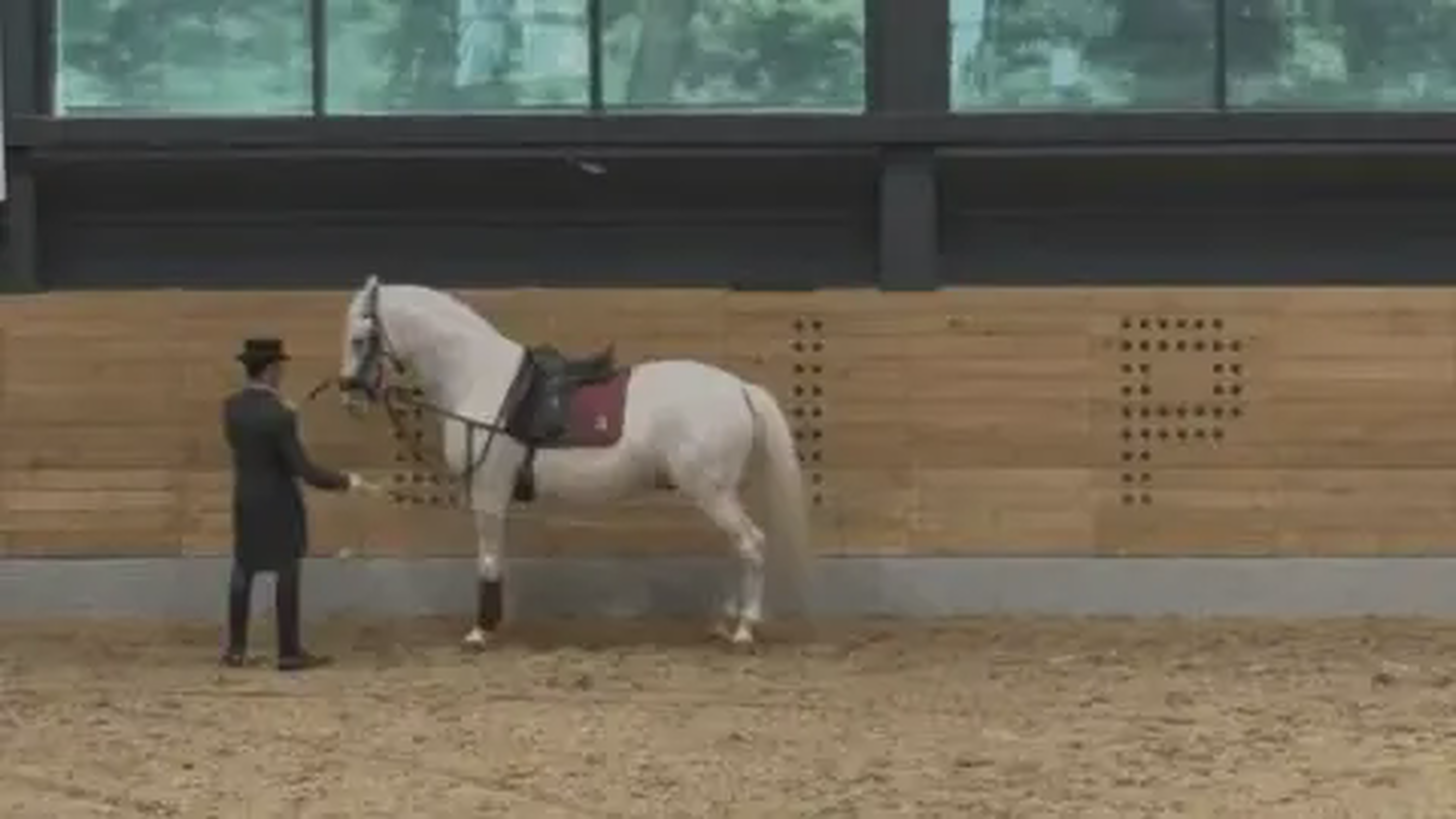 Despite the stunning stables and show hall, the heavily restrained horse was not what I had hoped to see