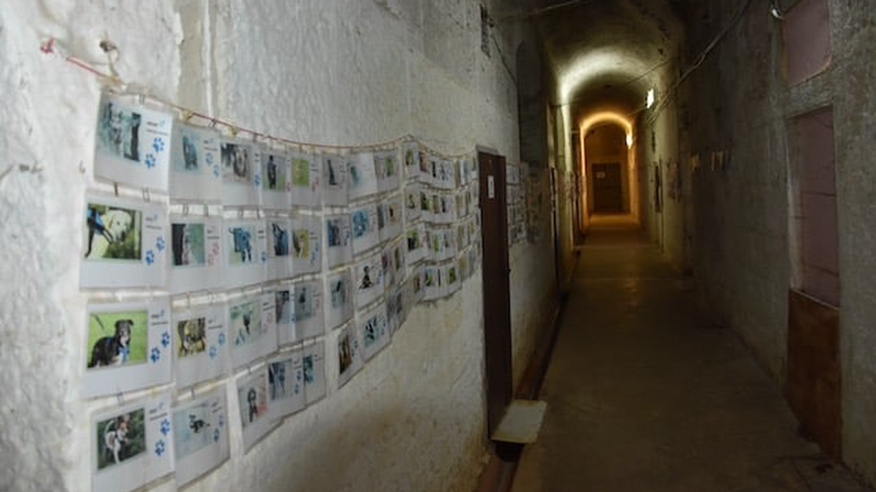 Wall of Fame